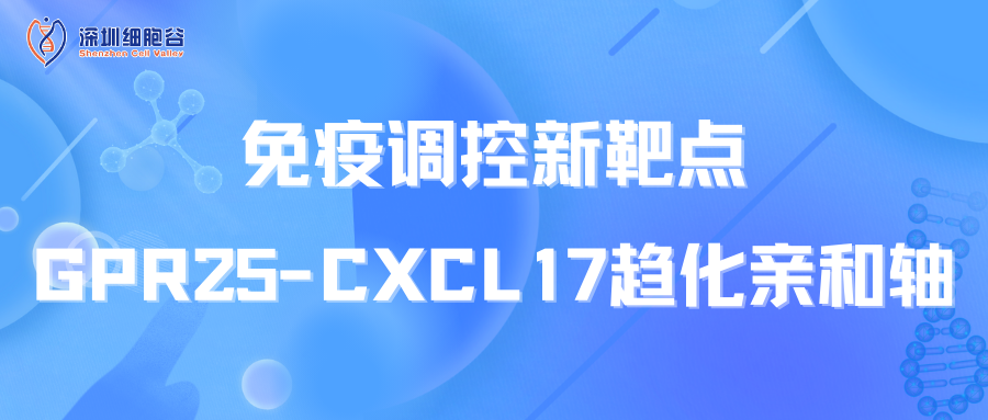 免疫调控新靶点：GPR25-CXCL17趋化亲和轴