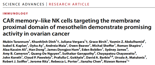 靶向间皮素的CAR记忆样NK细胞：卵巢癌治疗的新希望